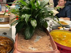 -陶苏·品味融合川菜(龙湖源著天街店)
