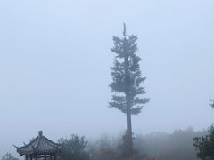 -浮山风景名胜区