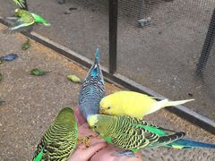 -南宫五洲植物乐园