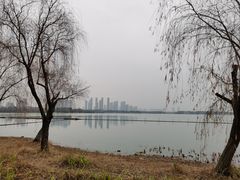 -渤公岛生态公园