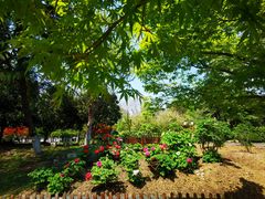 -江南大学(蠡湖校区)