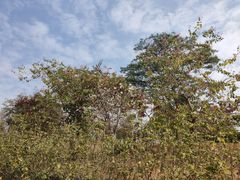 -中国移动南方基地