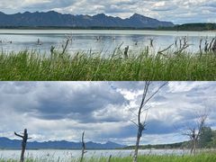 -野鸭湖国家湿地公园