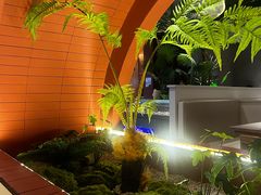 -芸山季·云南野生菌火锅(宝能环球汇店)