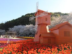 -苏州上方山国家森林公园