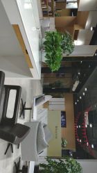 -CARR SALON