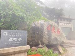 -泰山风景名胜区