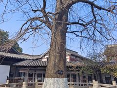 -常熟方塔园