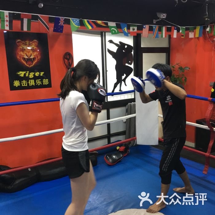 tiger 拳击泰拳散打搏击mma职业拳馆