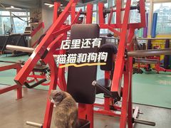 -KingBull私教健身&格斗订制(龙井商业中心店)