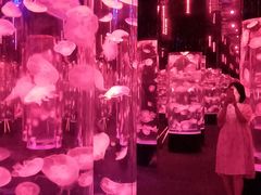 -成都浩海立方海洋公园