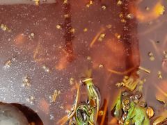 -仔耳朵冷锅鱼蛙芋儿鸡(莲花东路店)