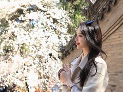 -潭柘寺景区