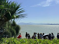 -深圳湾公园(南山区)