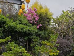 -水云间·园林餐厅(大龙店)