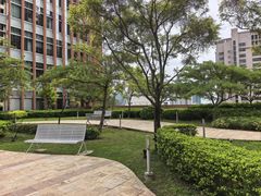 -香港大学