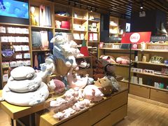 -九木杂物社(恒隆广场店)