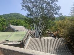 -潭柘寺景区