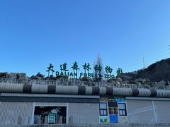 -大连森林动物园