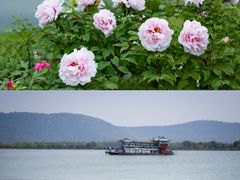 -尚湖风景区
