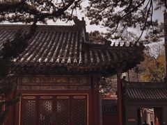 -潭柘寺景区