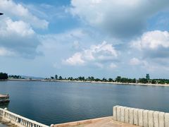 -莫内艺术岛海景咖啡