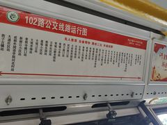 -都江堰中华大熊猫苑
