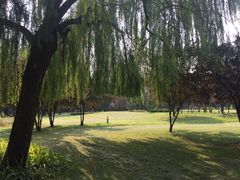 -达活泉公园