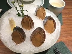 手工冰镇鲍鱼-木棉·醉心粤味(COCO Park店)