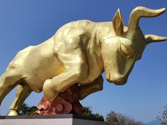 -三亚西岛海洋文化旅游区