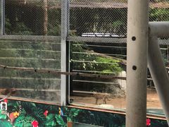 -清迈夜间动物园