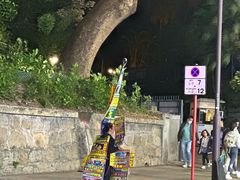 -九龙公园