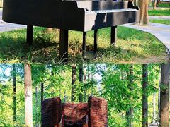 -黄海国家森林公园