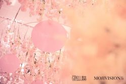 -保定金沙芝柏婚礼策划