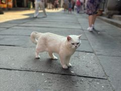 -汪一挑馄饨(老街店)