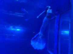 -太平洋海底世界