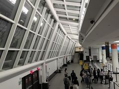 -约翰·菲茨杰拉德·肯尼迪国际机场