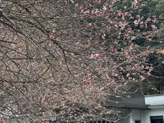 -广东温泉宾馆