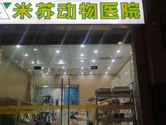 -米苏动物医院·犬猫专科·骨科外科内窥镜