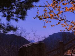 -白水寺森林公园
