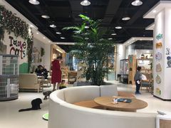 大堂-藏猫猫咖啡主题馆(中央大道店)