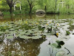 -郑州植物园