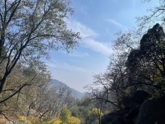 -泰山风景名胜区