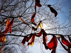 -叠溪松坪沟景区