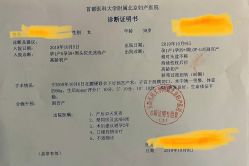 -北京妇产医院(东院)