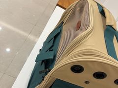 -瑞鹏宠物医院·骨科·猫科·内科(第一中心)