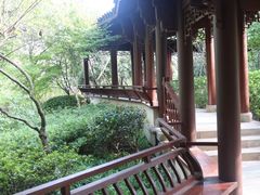 -杭州半山国家森林公园