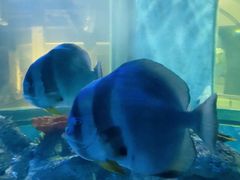 -常州海昌海洋探索馆