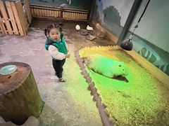 -太阳岛度假酒店