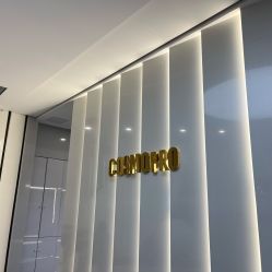 -COSMO PRO造型
